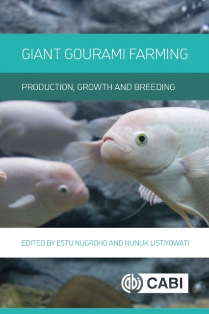Giant Gourami Farming - Production, Growth and Breeding