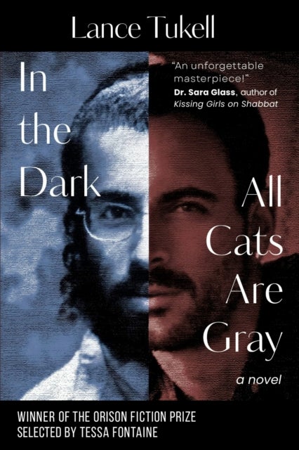 In the Dark All Cats Are Gray - A Novel