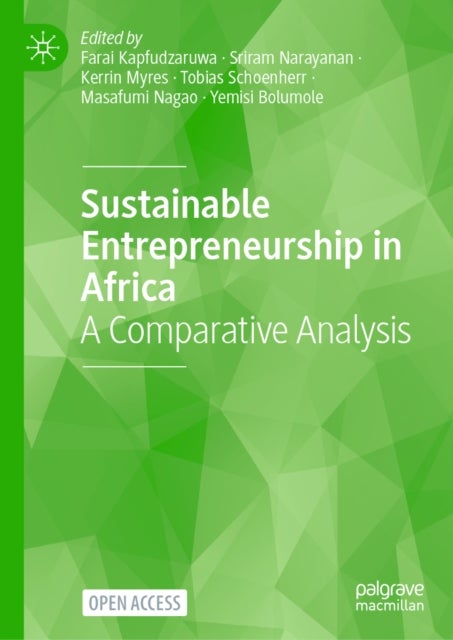 Sustainable Entrepreneurship in Africa - A Comparative Analysis