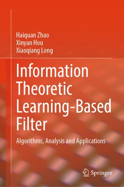 Information Theoretic Learning-based Filter - Algorithms, Analysis and Applications