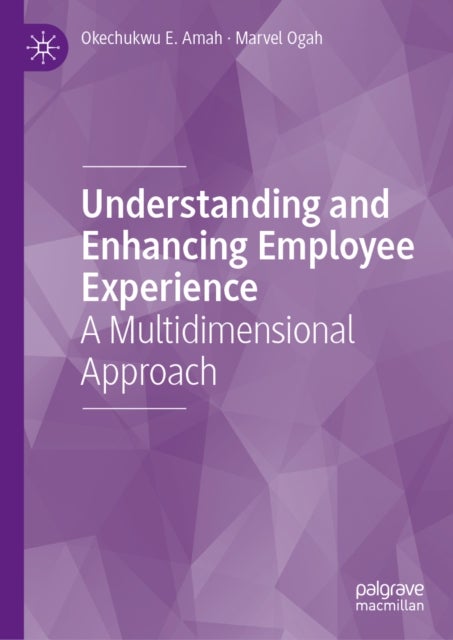Understanding and Enhancing Employee Experience - A Multidimensional Approach