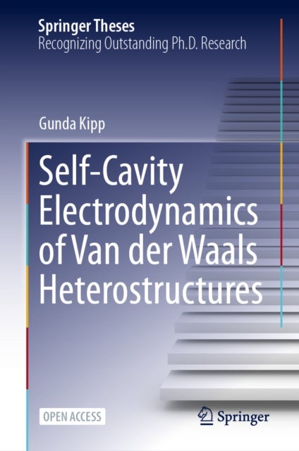 Self-Cavity Electrodynamics of Van der Waals Heterostructures