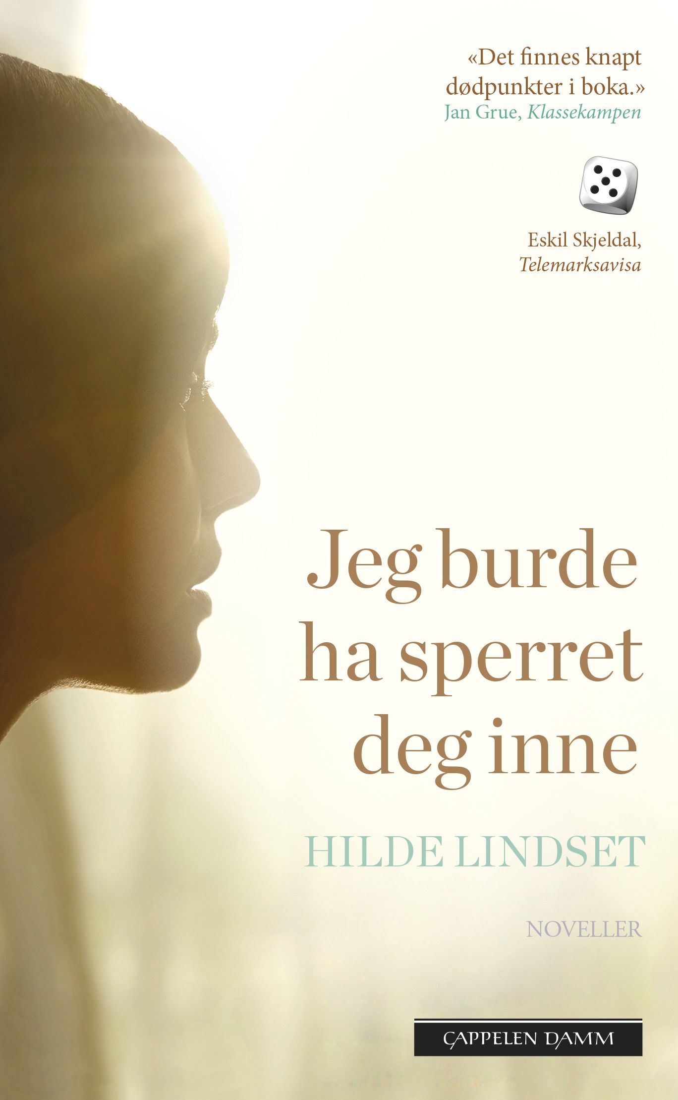 Jeg burde ha sperret deg inne - noveller