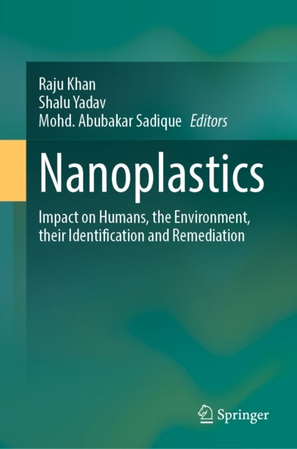 Nanoplastics - Impact on Humans, the Environment, their Identification and Remediation