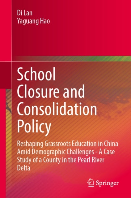 School Closure and Consolidation Policy - Reshaping Grassroots Education in China Amid Demographic Challenges - A Case Study of a County in the Pearl River Delta