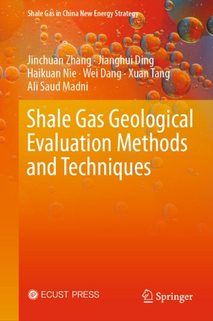 Shale Gas Geological Evaluation Methods and Techniques