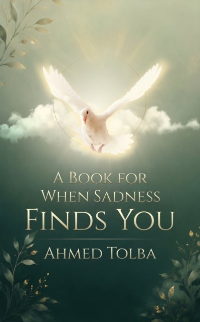 A Book for When Sadness Finds You av Ahmed Tolba