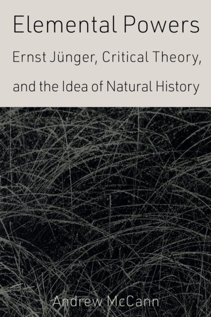 Elemental Powers - Ernst Junger, Critical Theory, and the Idea of Natural History