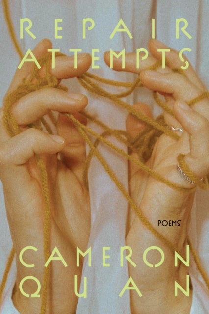 Repair Attempts - Poems