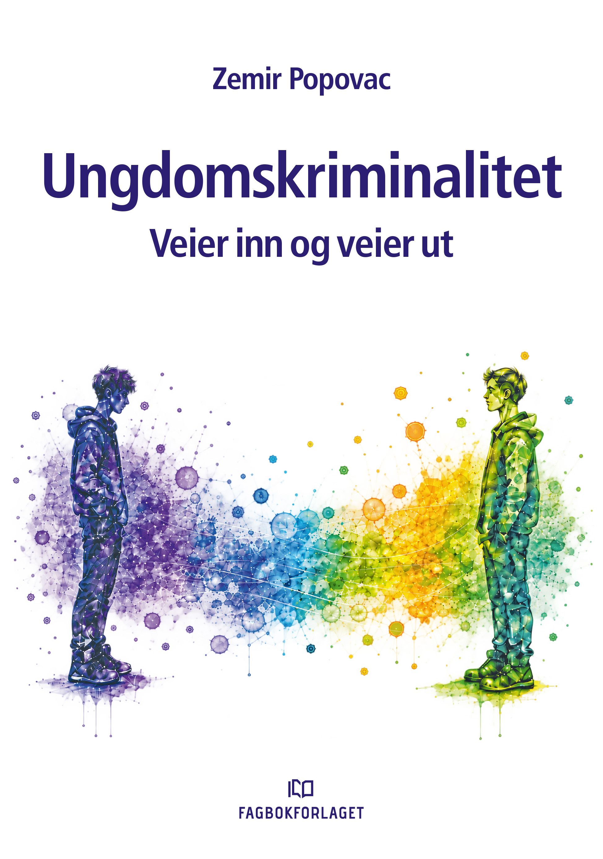 Ungdomskriminalitet - veier inn og veier ut