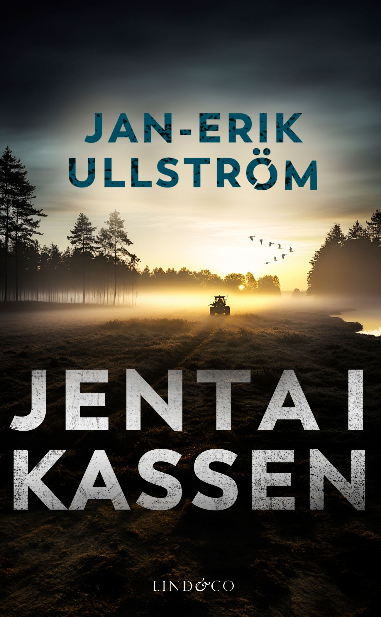 Jenta i kassen