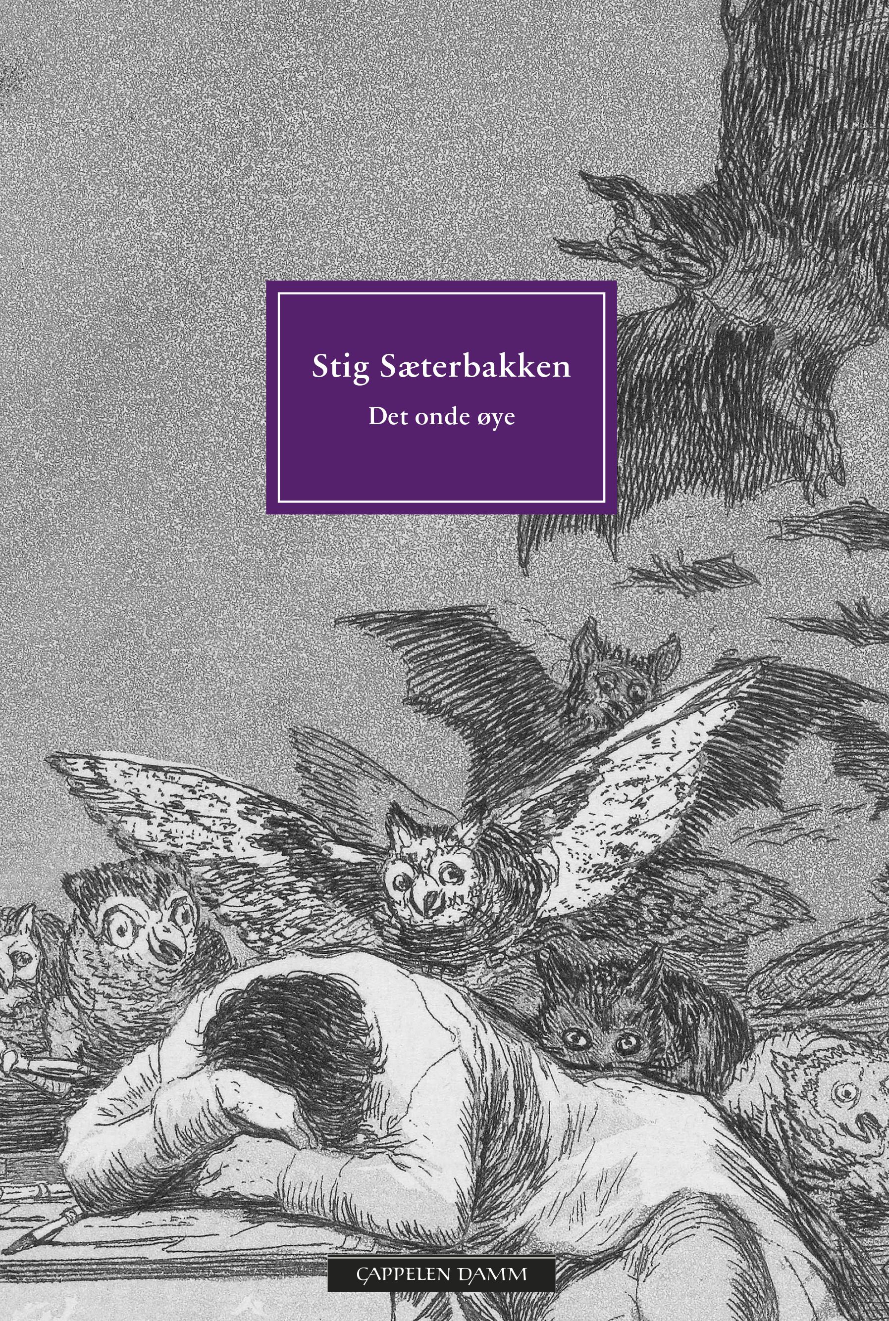 Det onde øye - essays