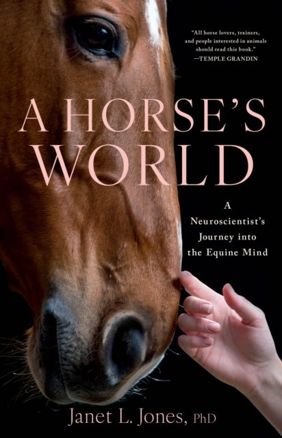 A Horse's World - A Neuroscientist's Journey into the Equine Mind