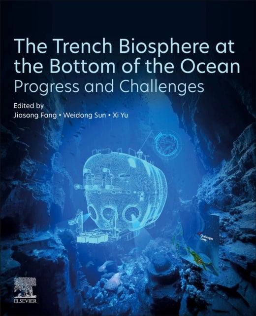 The Trench Biosphere at the Bottom of the Ocean - Progress and Challenges