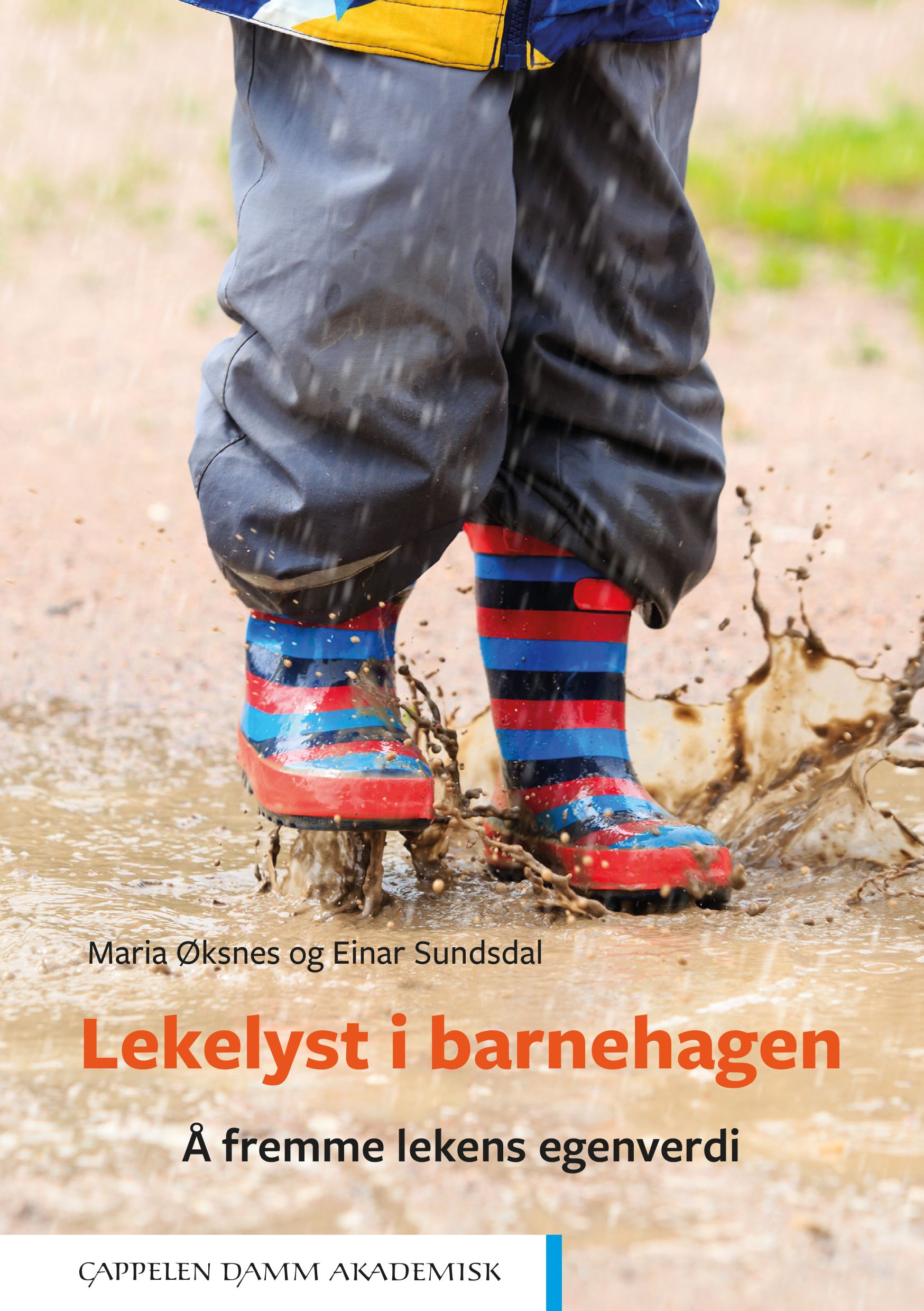 Lekelyst i barnehagen - å fremme lekens egenverdi