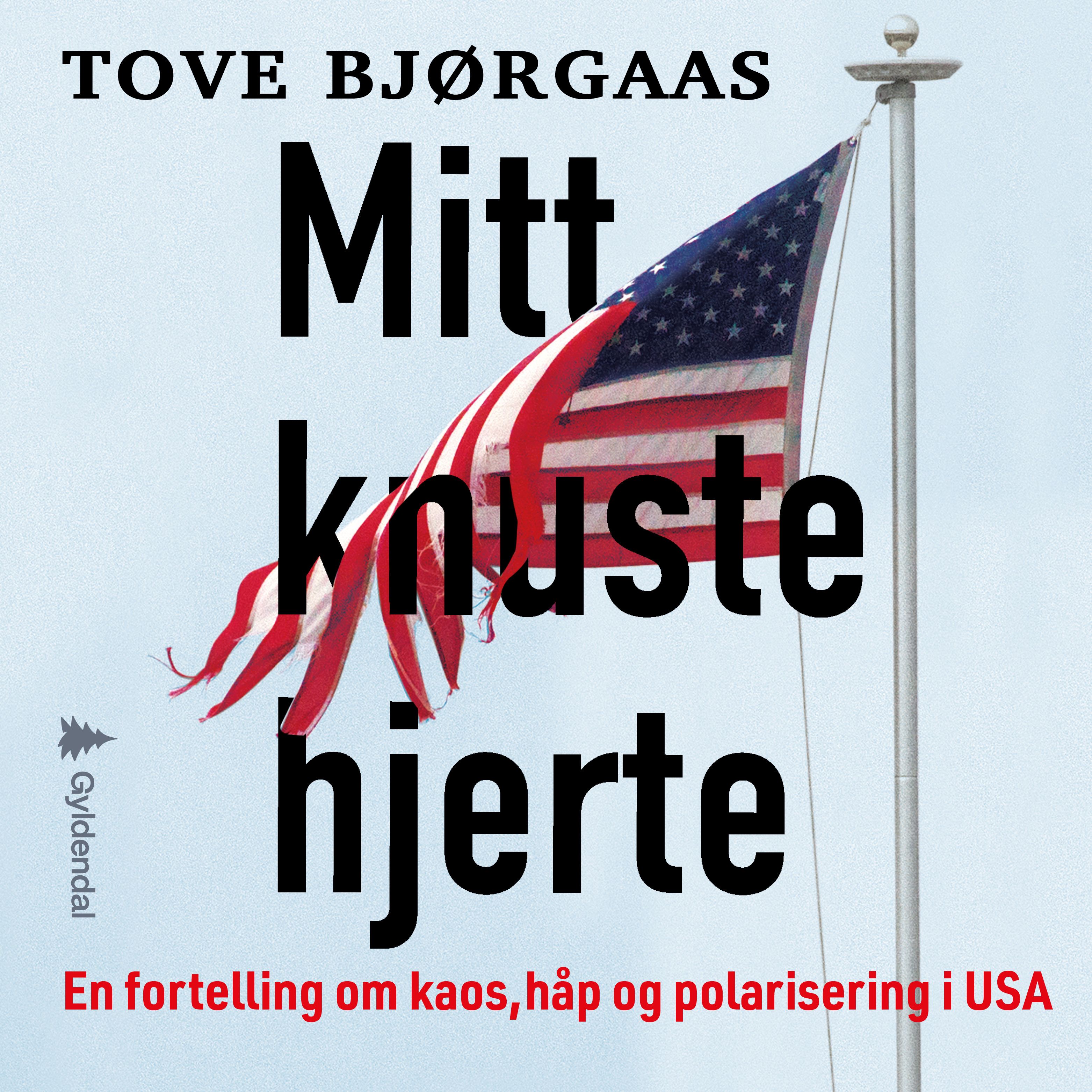 Mitt knuste hjerte - en fortelling om kaos, håp og polarisering i USA