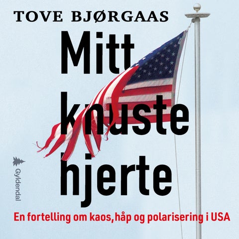 Mitt knuste hjerte - en fortelling om kaos, håp og polarisering i USA