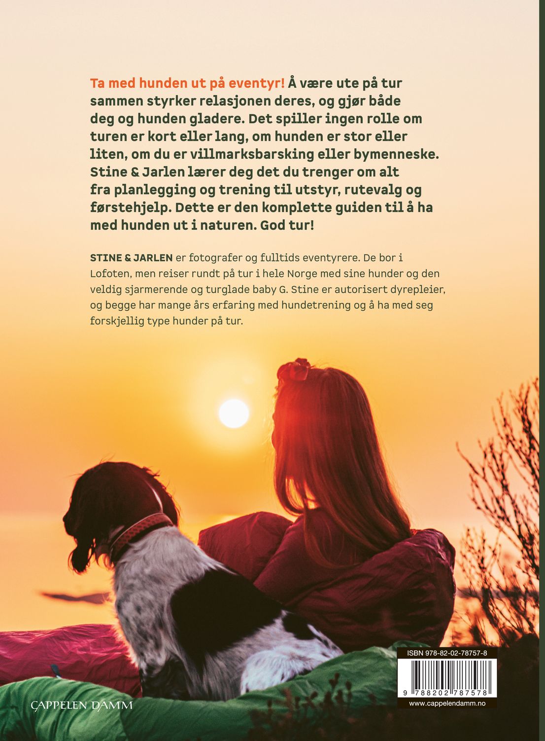 Med hund på tur