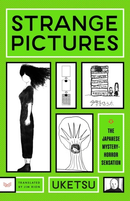 Strange Pictures - A Novel