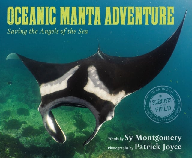 Oceanic Manta Adventure - Saving the Angels of the Sea