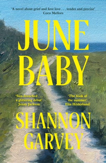 June Baby - moving and heartbreaking, 'the book of the summer' (Elin Hilderbrand)