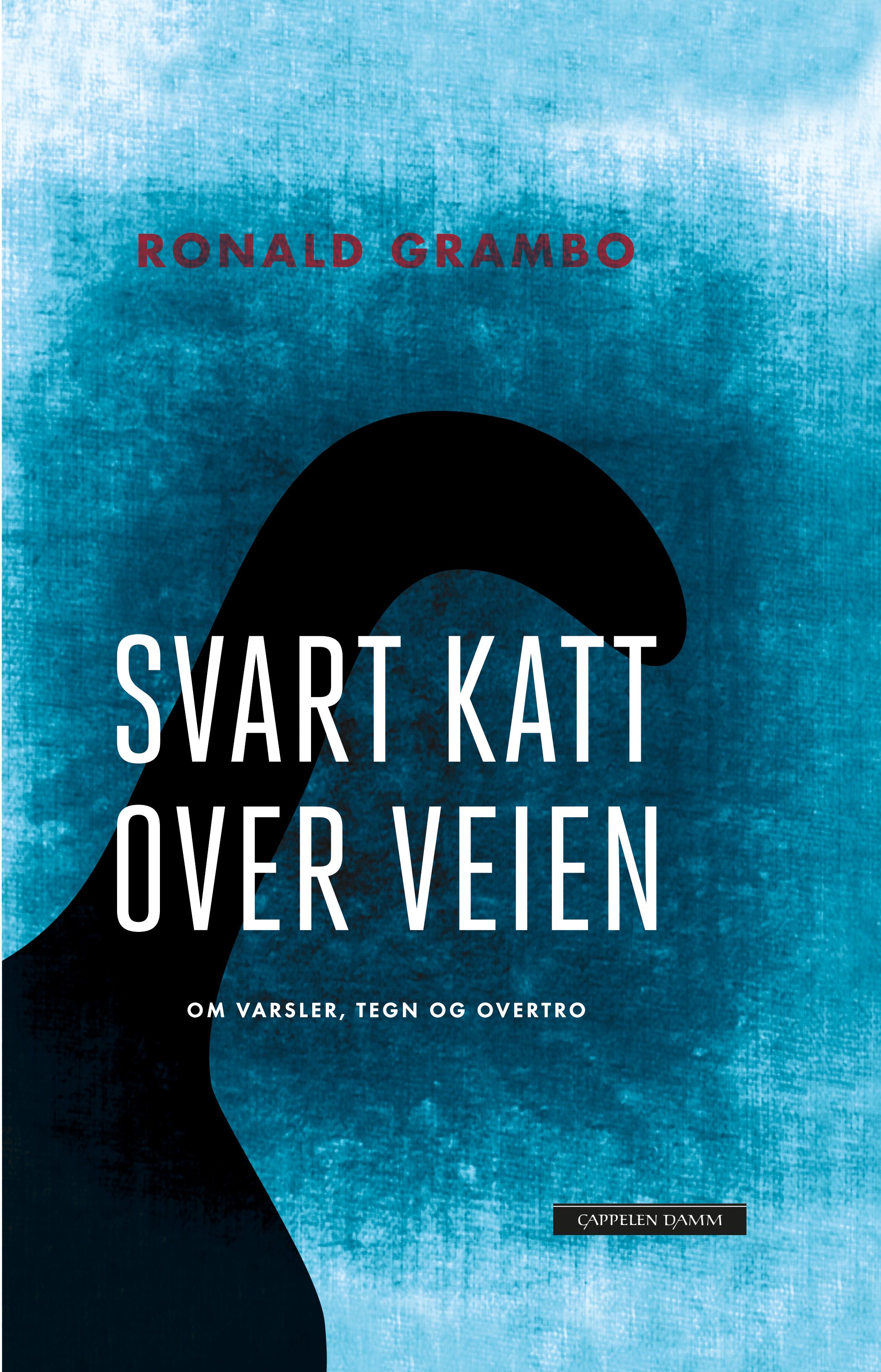 Svart katt over veien