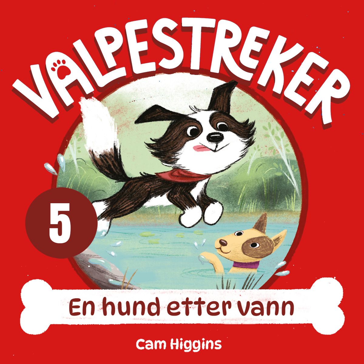 En hund etter vann