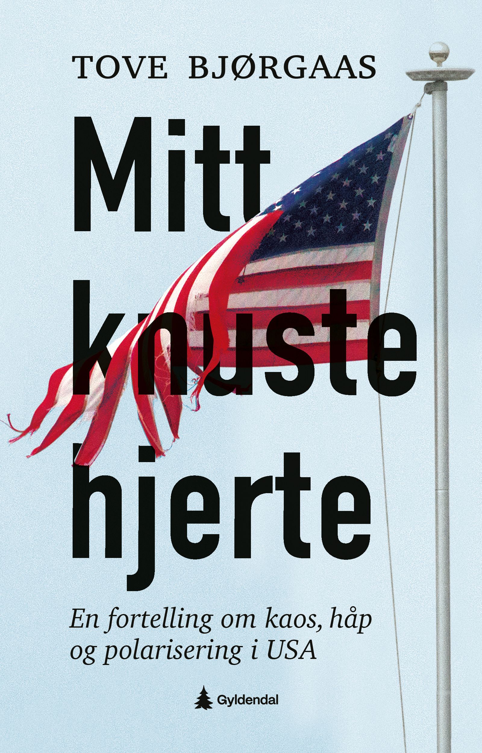 Mitt knuste hjerte - en fortelling om kaos, håp og polarisering i USA