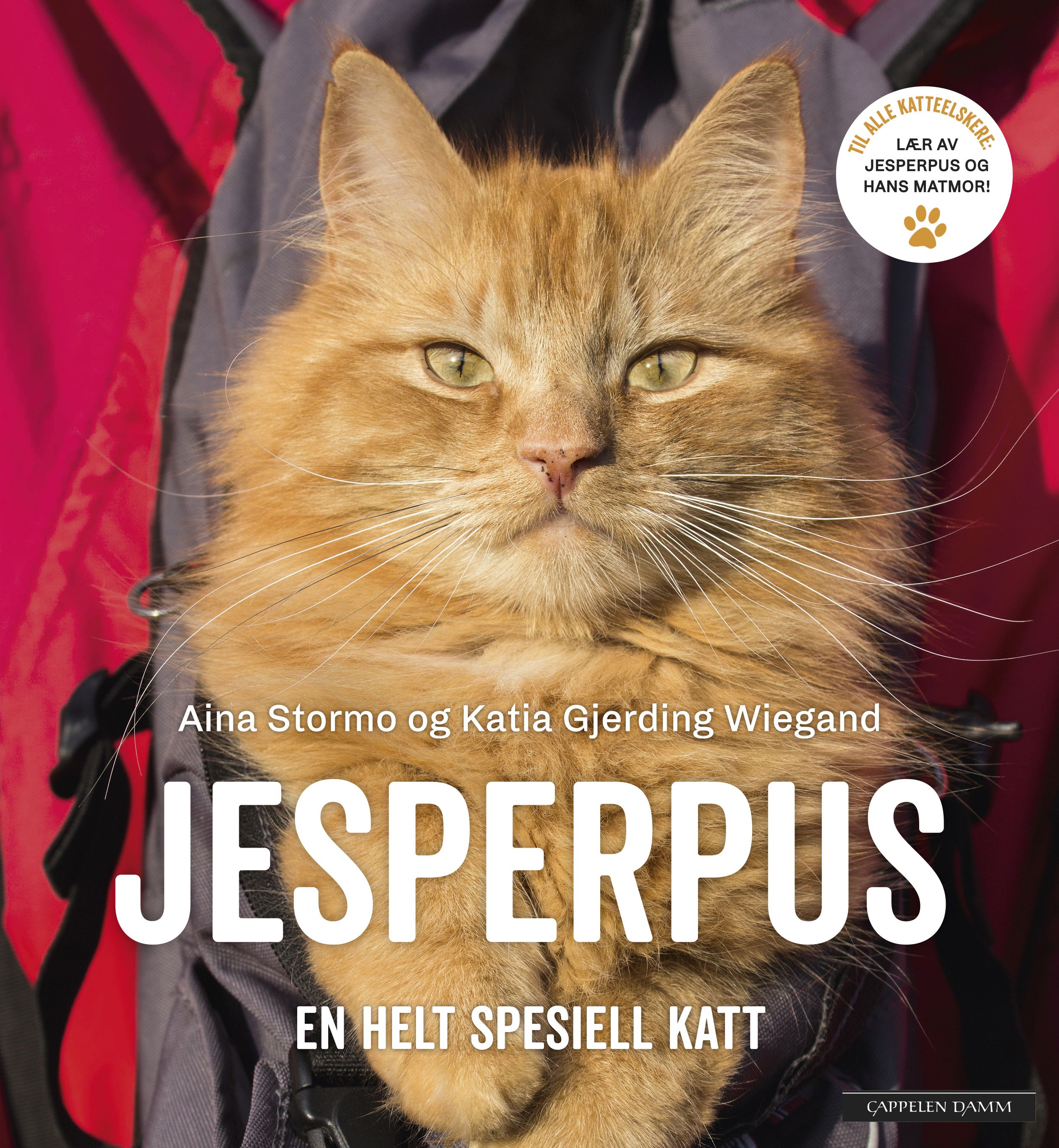 Jesperpus - en helt spesiell katt