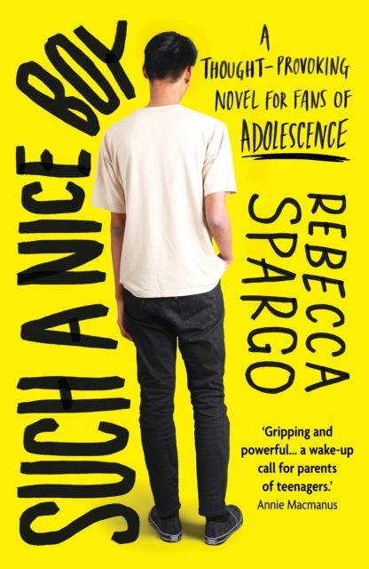 Such a Nice Boy - An unputdownable bookclub read about motherhood, toxic masculinity and the manosphere