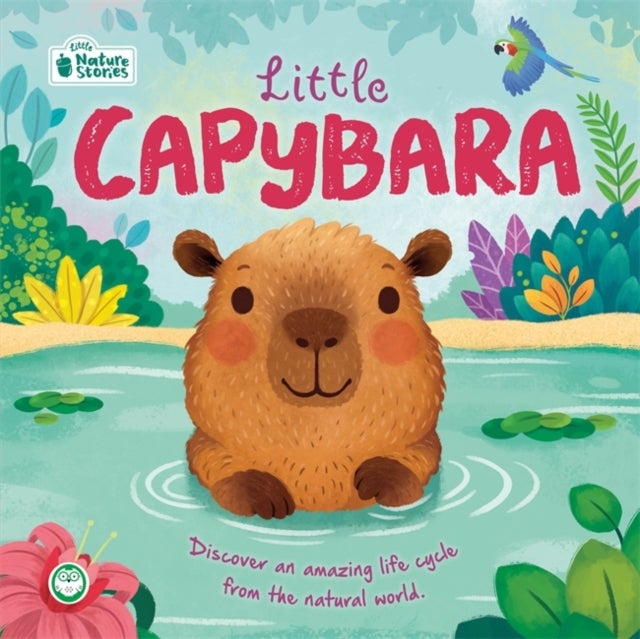 Little Capybara: Little Nature Stories - Discover an amazing life cycle from the natural world