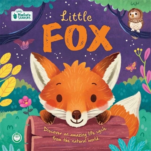 Little Fox: Little Nature Stories - Discover an amazing life cycle from the natural world