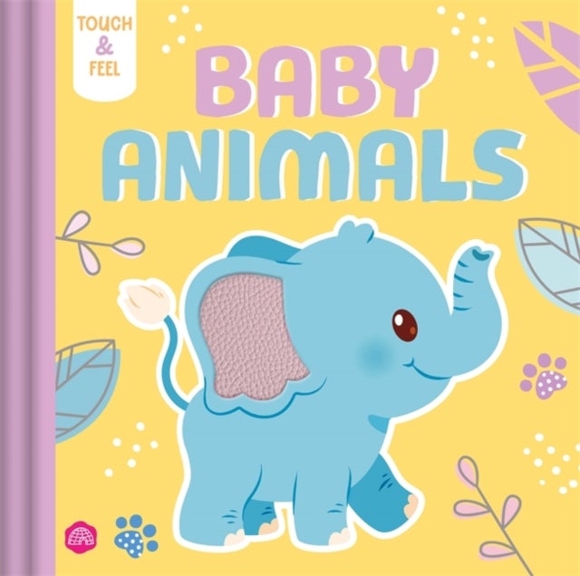 Baby Animals