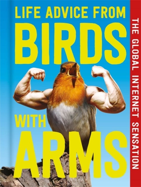 Life Advice from Birds with Arms - Unexpected Wisdom from the Most Unhinged Life Coaches