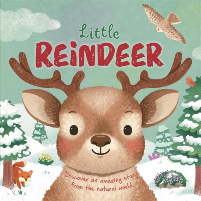 Little Reindeer - An illustrated story about the life-cycle of a reindeer