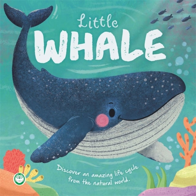 Little Whale - An illustrated story about the life cycle of a whale