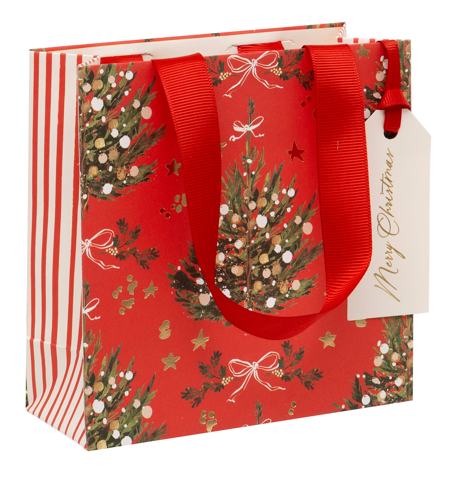 Gavepose Red Fir Radiance S