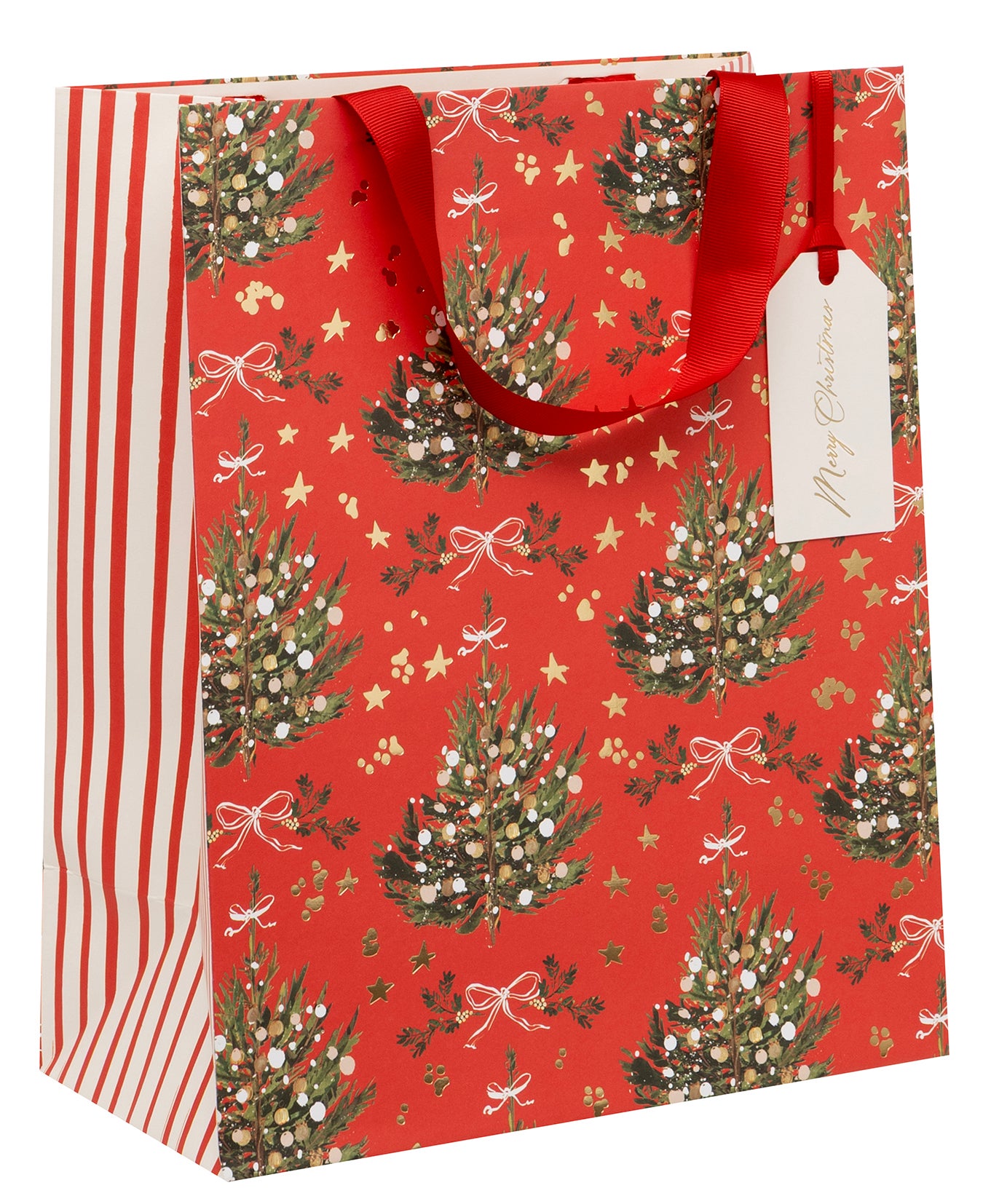 Gavepose Red Fir Radiance L