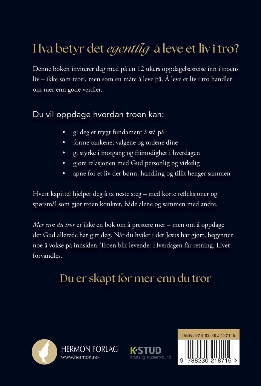 Mer enn du tror