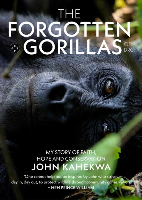 The Forgotten Gorillas of DRC - my story of faith, hope and conservation