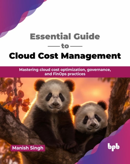 Essential Guide to Cloud Cost Management - Mastering cloud cost optimization, governance, and FinOps practices