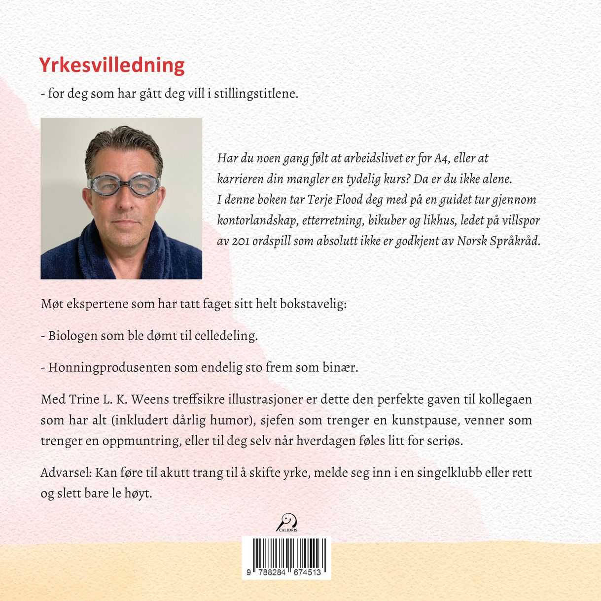 Yrkesvilledning