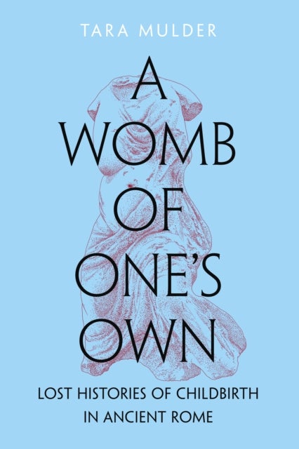 A Womb of One's Own - Lost Histories of Childbirth in Ancient Rome