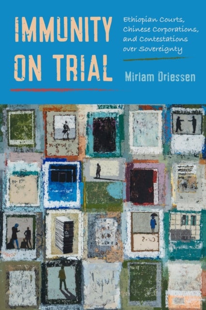 Immunity on Trial - Ethiopian Courts, Chinese Corporations, and Contestations over Sovereignty