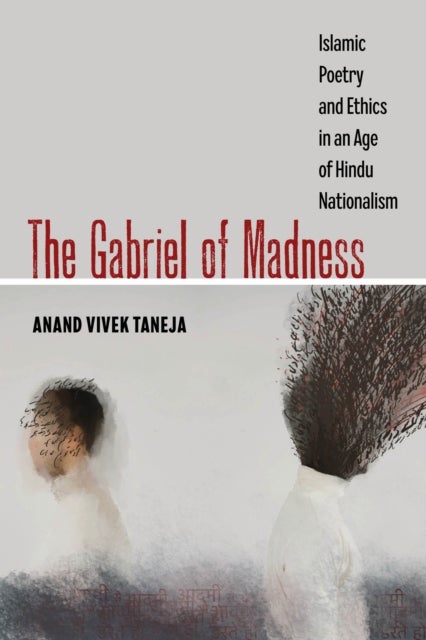 The Gabriel of Madness - Islamic Poetry and Ethics in an Age of Hindu Nationalism