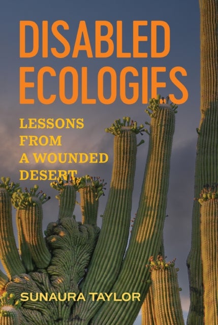 Disabled Ecologies - Lessons from a Wounded Desert