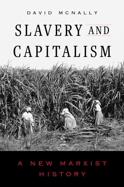 Slavery and Capitalism - A New Marxist History