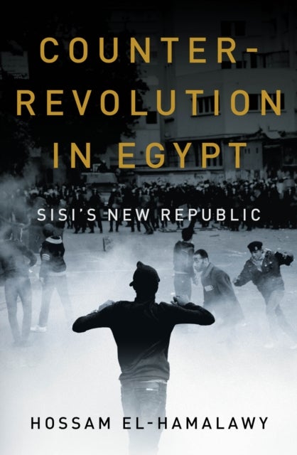 Counterrevolution in Egypt - Sisi's New Republic