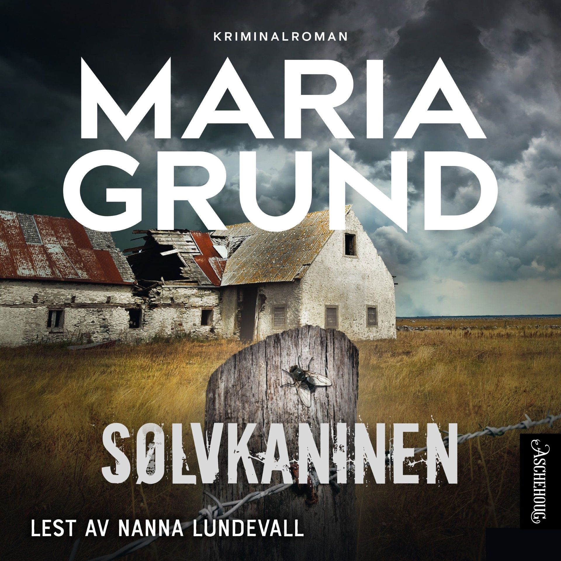 Sølvkaninen