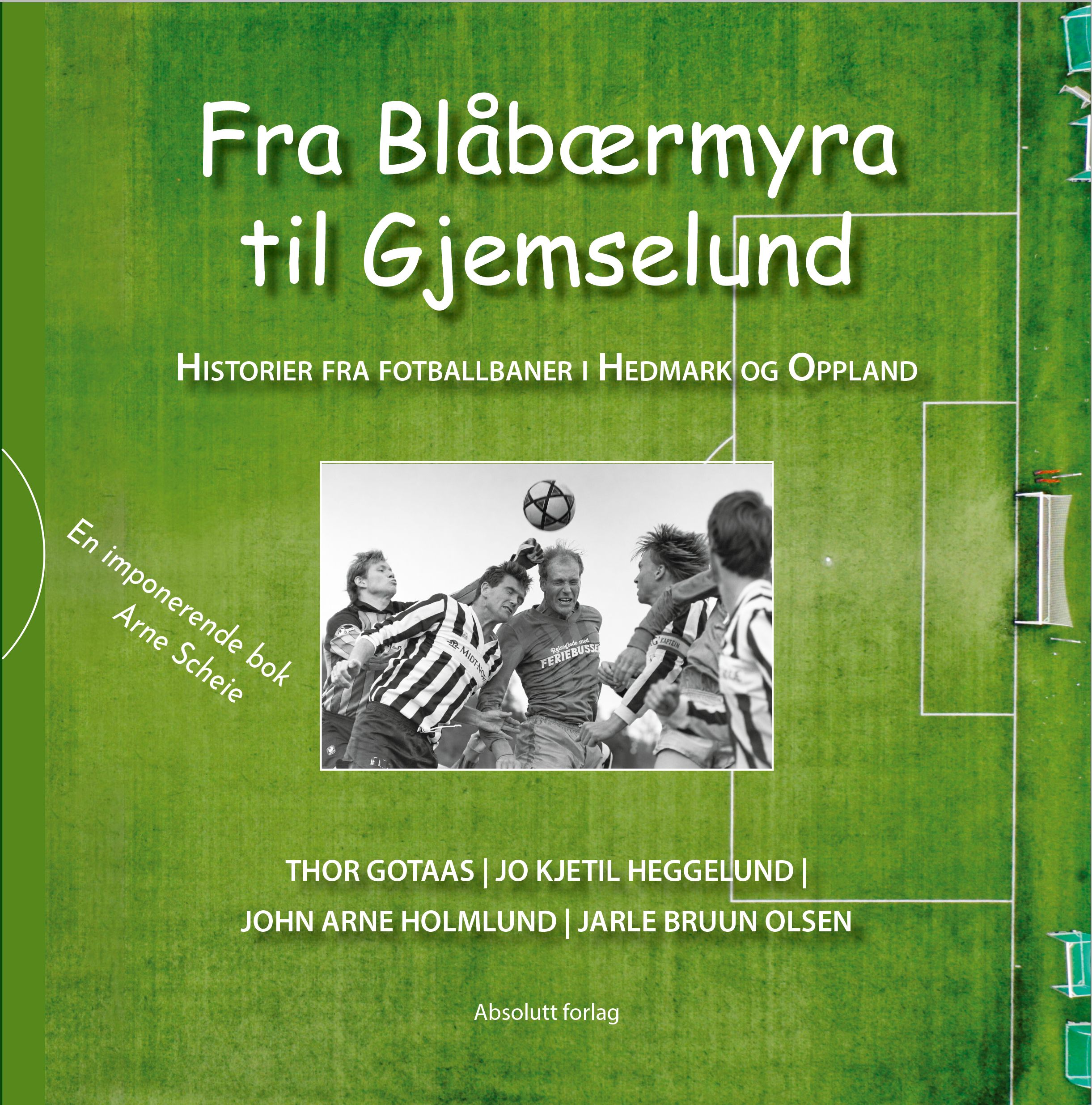 Fra Blåbærmyra til Gjemselund - historier fra fotballbaner i Hedmark og Oppland